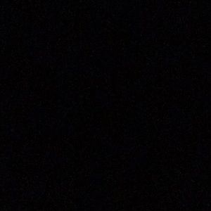 Meet your Posher, Oscar